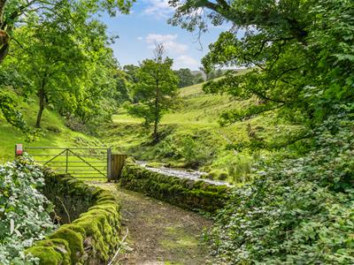 Picture 72